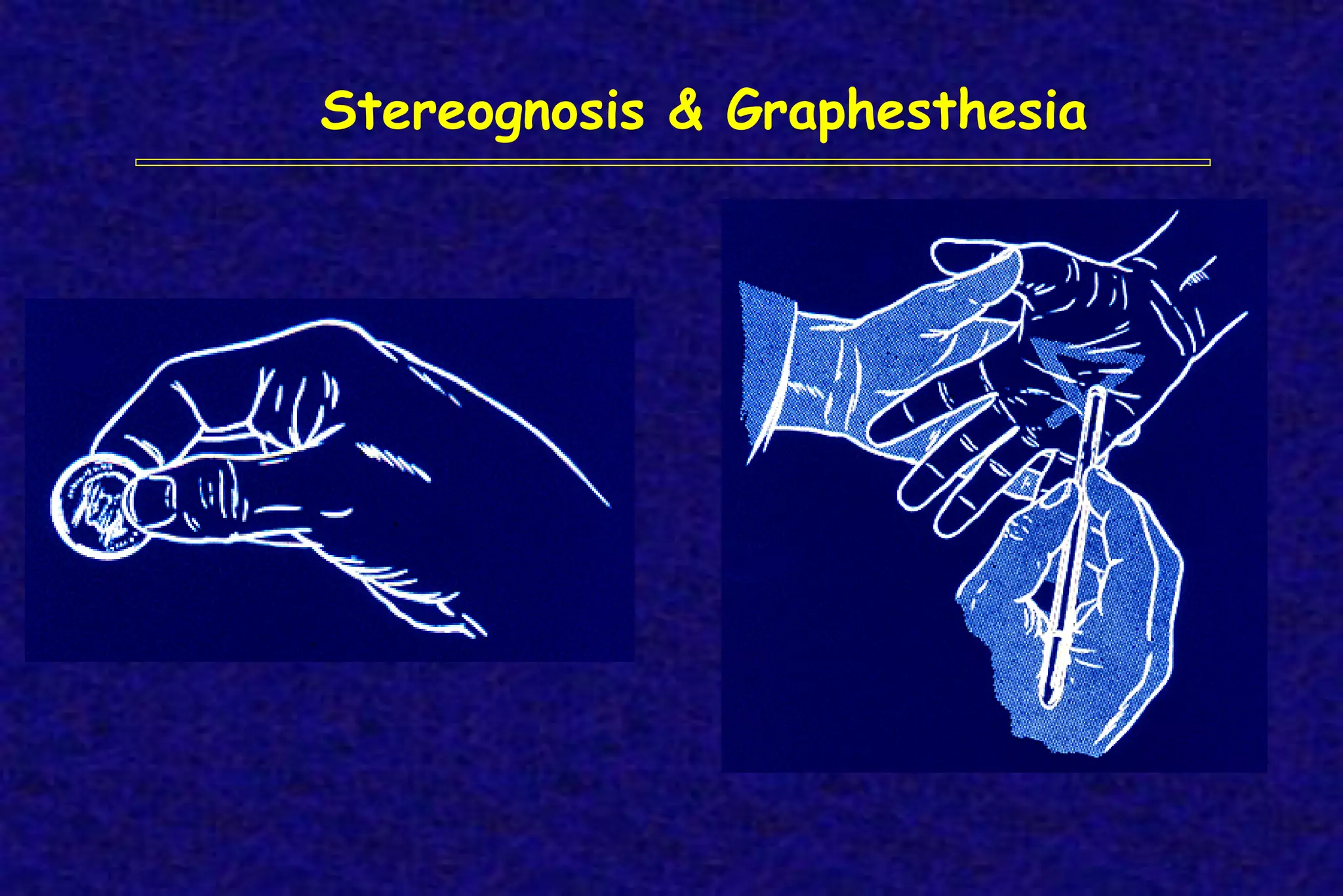 Stereognosis & Graphesthesia
 