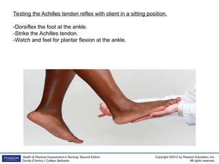 Neurological-Assessment-pptuyjthdcgjvhjbkhljhg.ppt