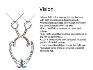 Neurological assessmentv1[25 10_11][1] | PPT