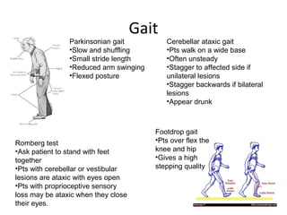 Neurological assessmentv1[25 10_11][1] | PPT
