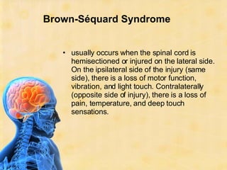 Brown-Séquard Syndrome <ul><li>usually occurs when the spinal cord is hemisectioned or injured on the lateral side. On the...