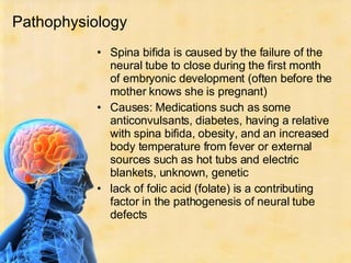 Pathophysiology  <ul><li>Spina bifida is caused by the failure of the neural tube to close during the first month of embry...