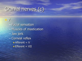 Cranial nerves (c)  V Facial sensation Muscles of mastication Jaw jerk Corneal reflex  Afferent = V Efferent = VII 