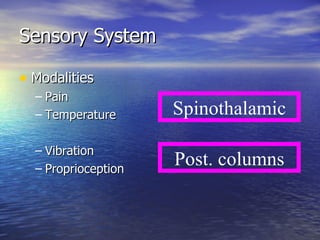 Sensory System Modalities Pain Temperature Vibration Proprioception Spinothalamic Post. columns 