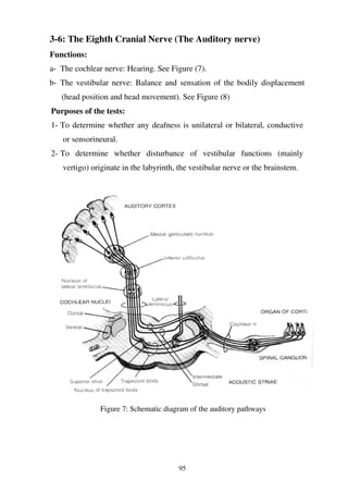 95
3-6: The Eighth Cranial Nerve (The Auditory nerve)
Functions:
a- The cochlear nerve: Hearing. See Figure (7).
b- The vestibular nerve: Balance and sensation of the bodily displacement
(head position and head movement). See Figure (8)
Purposes of the tests:
1- To determine whether any deafness is unilateral or bilateral, conductive
or sensorineural.
2- To determine whether disturbance of vestibular functions (mainly
vertigo) originate in the labyrinth, the vestibular nerve or the brainstem.
Figure 7: Schematic diagram of the auditory pathways
 
