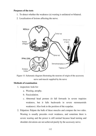 112
Purposes of the tests
1. To detect whether the weakness (±) wasting is unilateral or bilateral.
2. Localization of lesions affecting the nerve.
Figure 11: Schematic diagram illustrating the neurons of origin of the accessory
nerve and muscle supplied by the nerve
Methods of examination
1. inspection: look for:
a. Wasting, atrophy.
b. Fasciculation.
c. Abnormal head posture (it fall forwards in severe trapizius
weakness, but it falls backwards in severe sternmastoids
weakness). Also look to the position of the scapulae.
2. Palpation: Palpate the bulk of these muscles and compare the two sides.
Wasting is usually precedes overt weakness, and sometime there is
severe wasting and the power is still normal because head turning and
shoulder elevations are not achieved purely by the accessory nerve.
 