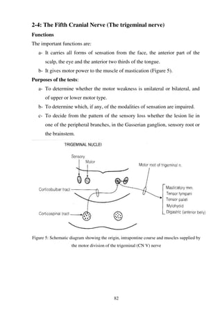 82
2-4: The Fifth Cranial Nerve (The trigeminal nerve)
Functions
The important functions are:
a- It carries all forms of sensation from the face, the anterior part of the
scalp, the eye and the anterior two thirds of the tongue.
b- It gives motor power to the muscle of mastication (Figure 5).
Purposes of the tests:
a- To determine whether the motor weakness is unilateral or bilateral, and
of upper or lower motor type.
b- To determine which, if any, of the modalities of sensation are impaired.
c- To decide from the pattern of the sensory loss whether the lesion lie in
one of the peripheral branches, in the Gasserian ganglion, sensory root or
the brainstem.
Figure 5: Schematic diagram showing the origin, intrapontine course and muscles supplied by
the motor division of the trigeminal (CN V) nerve
 