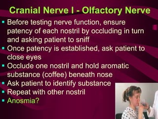 Cranial Nerve I - Olfactory Nerve
 Before testing nerve function, ensure
patency of each nostril by occluding in turn
and asking patient to sniff
 Once patency is established, ask patient to
close eyes
 Occlude one nostril and hold aromatic
substance (coffee) beneath nose
 Ask patient to identify substance
 Repeat with other nostril
 Anosmia?
 