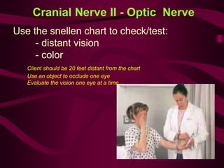 Cranial Nerve II - Optic Nerve
Use the snellen chart to check/test:
- distant vision
- color
Client should be 20 feet distant from the chart
Use an object to occlude one eye
Evaluate the vision one eye at a time
 