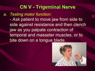 CN V - Trigeminal Nerve
a. Testing motor function:
- Ask patient to move jaw from side to
side against resistance and then clench
jaw as you palpate contraction of
temporal and masseter muscles, or to
bite down on a tongue blade.
 