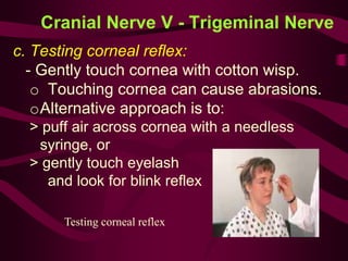 Testing corneal reflex
Cranial Nerve V - Trigeminal Nerve
c. Testing corneal reflex:
- Gently touch cornea with cotton wisp.
o Touching cornea can cause abrasions.
oAlternative approach is to:
> puff air across cornea with a needless
syringe, or
> gently touch eyelash
and look for blink reflex
 