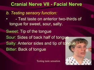 Testing taste sensation
Cranial Nerve VII - Facial Nerve
b. Testing sensory function:
• - Test taste on anterior two-thirds of
tongue for sweet, sour, salty.
F
Sweet: Tip of the tongue
Sour: Sides of back half of tongue
Salty: Anterior sides and tip of tongue
Bitter: Back of tongue
 