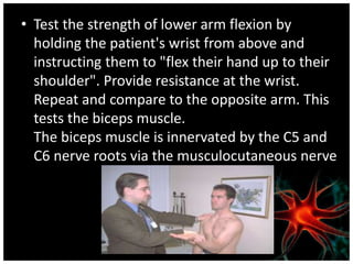 • Test the strength of lower arm flexion by
holding the patient's wrist from above and
instructing them to "flex their hand up to their
shoulder". Provide resistance at the wrist.
Repeat and compare to the opposite arm. This
tests the biceps muscle.
The biceps muscle is innervated by the C5 and
C6 nerve roots via the musculocutaneous nerve
 