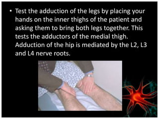 • Test the adduction of the legs by placing your
hands on the inner thighs of the patient and
asking them to bring both legs together. This
tests the adductors of the medial thigh.
Adduction of the hip is mediated by the L2, L3
and L4 nerve roots.
 