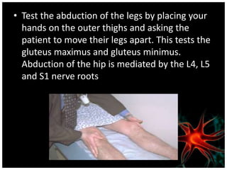 • Test the abduction of the legs by placing your
hands on the outer thighs and asking the
patient to move their legs apart. This tests the
gluteus maximus and gluteus minimus.
Abduction of the hip is mediated by the L4, L5
and S1 nerve roots
 