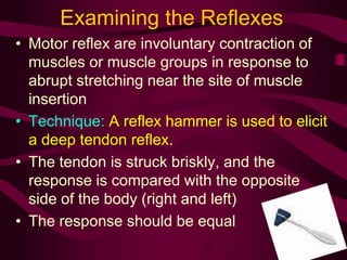 Examining the Reflexes
• Motor reflex are involuntary contraction of
muscles or muscle groups in response to
abrupt stretching near the site of muscle
insertion
• Technique: A reflex hammer is used to elicit
a deep tendon reflex.
• The tendon is struck briskly, and the
response is compared with the opposite
side of the body (right and left)
• The response should be equal
 