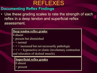 REFLEXES
Documenting Reflex Findings
• Use these grading scales to rate the strength of each
reflex in a deep tendon and superficial reflex
assessment.
Deep tendon reflex grades
0 absent
+ present but diminished
+ + normal
+ + + increased but not necessarily pathologic
+ + + + hyperactive or clonic (involuntary contraction
and relaxation of skeletal muscle)
Superficial reflex grades
0 absent
+ present
 