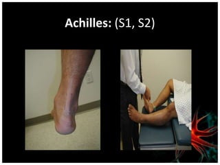 Achilles: (S1, S2)
 