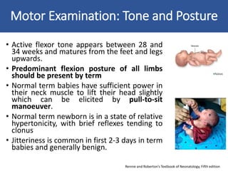 Neurological assessment seminar | PPTX