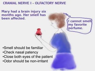 25
•Smell should be familiar
•Check nasal patency
•Close both eyes of the patient
•Odor should be non-irritant
 