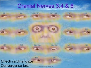 28
Cranial Nerves 3,4 & 6
Check cardinal gaze
Convergence test
 