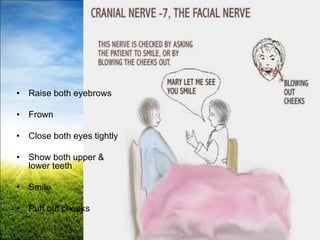 29
Cranial Nerve 7
• Raise both eyebrows
• Frown
• Close both eyes tightly
• Show both upper &
lower teeth
• Smile
• Puff out cheeks
 
