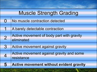 41
Muscle Strength Grading
0 No muscle contraction detected
1 A barely detectable contraction
2
Active movement of body part with gravity
eliminated
3 Active movement against gravity
4
Active movement against gravity and some
resistance
5 Active movement without evident gravity
 