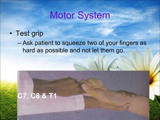 44
Motor System
• Test grip
– Ask patient to squeeze two of your fingers as
hard as possible and not let them go.
C7, C8 & T1
 