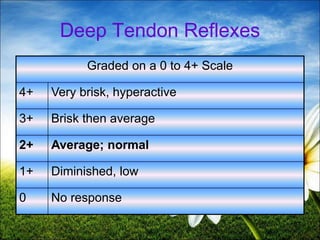57
Deep Tendon Reflexes
Graded on a 0 to 4+ Scale
4+ Very brisk, hyperactive
3+ Brisk then average
2+ Average; normal
1+ Diminished, low
0 No response
 