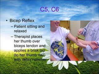 58
C5, C6
• Bicep Reflex
– Patient sitting and
relaxed
– Therapist places
her thumb over
biceps tendon and
applies a brisk tap
(to her thumb nail)
with reflex hammer
 