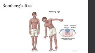 NEUROLOGICAL ASSESSMENT.ppt