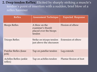 neurological assessment.pptx