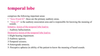 temporal lobe
comprises the following important areas:
• "Area 41and 42": these are the primary auditory areas.
• "Area 22": is the auditory association area and is responsible for knowing the meaning of
sounds.
Irritative lesion of the temporal lobe lead to:
- Auditory hallucination.
Destructive lesion of the temporal lobe lead to:
1-Slight hearing impairment.
2-Auditory agnosia.
3-Temporal seizures.
4-Anterograde amnesia.
5- Perceptive aphasia (in ability of the patient to know the meaning of heard sounds.
 