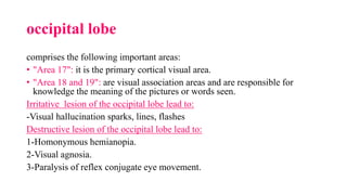 occipital lobe
comprises the following important areas:
• "Area 17": it is the primary cortical visual area.
• "Area 18 and 19": are visual association areas and are responsible for
knowledge the meaning of the pictures or words seen.
Irritative lesion of the occipital lobe lead to:
-Visual hallucination sparks, lines, flashes
Destructive lesion of the occipital lobe lead to:
1-Homonymous hemianopia.
2-Visual agnosia.
3-Paralysis of reflex conjugate eye movement.
 