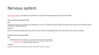 Nervous system
The nervous system is divided into central nervous system (CNS) and peripheral nervous system (PNS).
The Central Nervous System (CNS)
Def.
is the part of the nervous system lying within bony cavities. It includes the brain (within the skull) and the spinal cord (within the spinal
canal of the vertebral column).
Function
receives sensation, integrate them and send the motor orders to the peripheral nervous system then to the muscles or glands.
Peripheral Nervous System (PNS)
Def.
• is classified according to its function or its site of origin from the nervous system into:
• 1. Cranial nerves: emerge from the brain stem except olfactory and optic nerves.
• 2.The spinal nerves: originate from the spinal cord
Function
transmits the sensation to the CNS and carries the motor orders to muscles or glands.
 