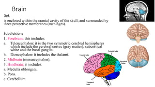 Brain
Def.
is enclosed within the cranial cavity of the skull, and surrounded by
three protective membranes (meninges).
Subdivisions
1. Forebrain: this includes:
a. Telencephalon: it is the two symmetric cerebral hemispheres
which include the cerebral cortex (gray matter), subcortical
white and the basal ganglia.
b. Diencephalon: it includes the thalami.
2. Midbrain (mesencephalon).
3. Hindbrain: it includes:
a. Medulla oblongata.
b. Pons.
c. Cerebellum.
 