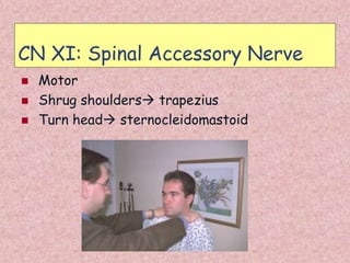 Neurological Assessment for nursing students ppt | PPT