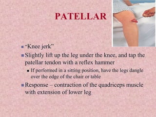 Neurological Assessment for nursing students ppt | PPT