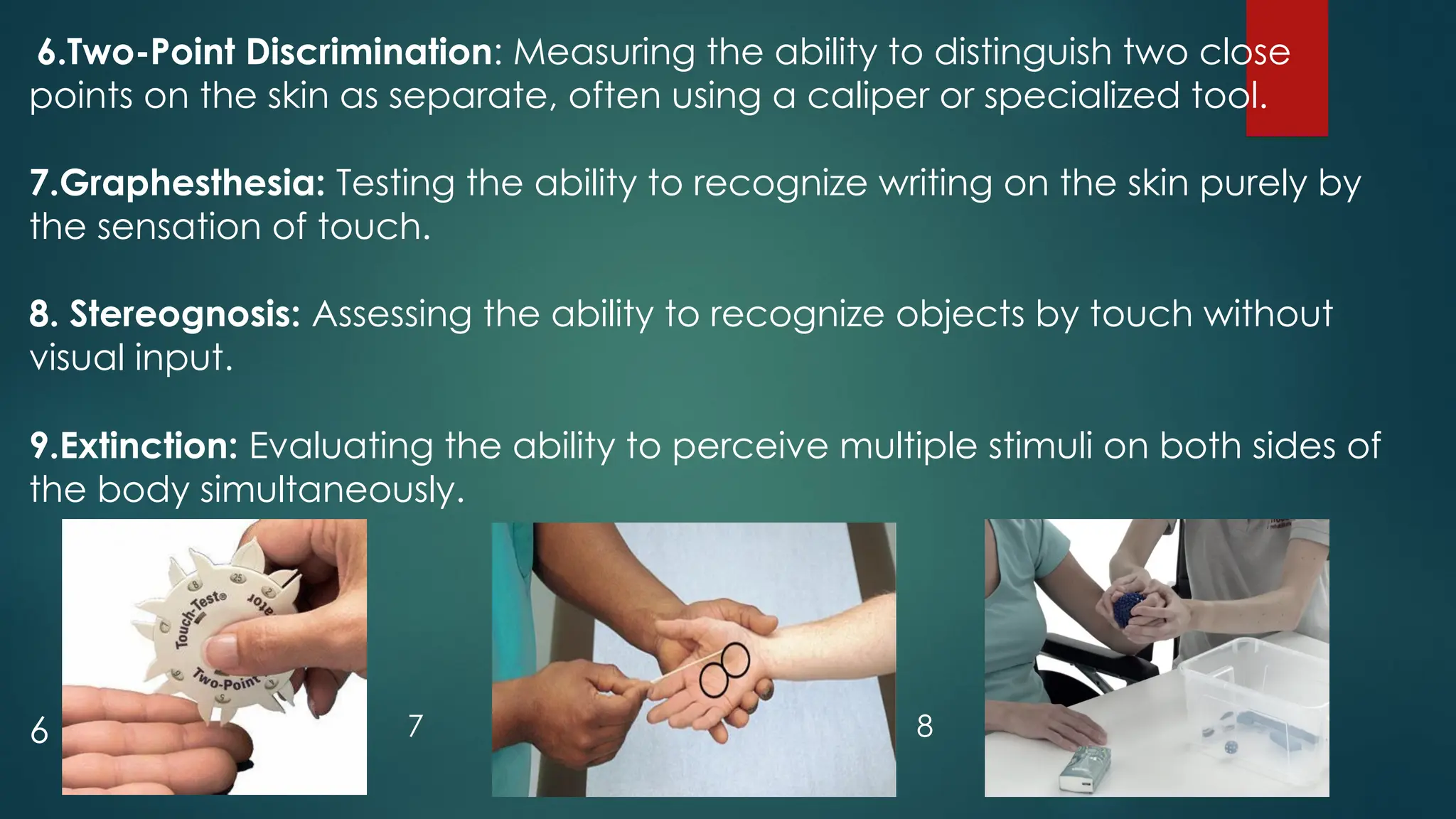 NEUROLOGICAL ASSESSMENT.ppt . | PPT | Brain and Nervous System ...