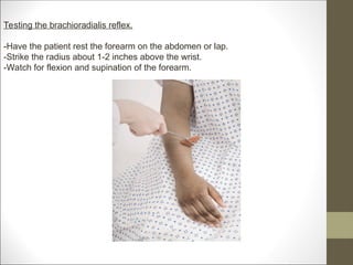 A neurological examination is the assessment of sensory neuron and ...