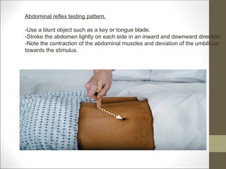 A neurological examination is the assessment of sensory neuron and ...