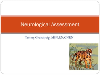 Tammy Grunzweig, MSN,RN,CNRN Neurological Assessment 