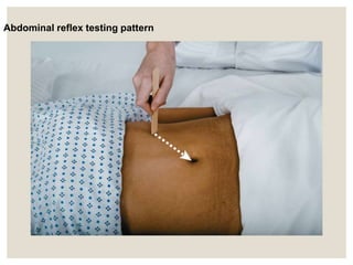 neurological_assessment_final.ppt