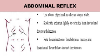 systematic Neurological assessment of human | PPTX