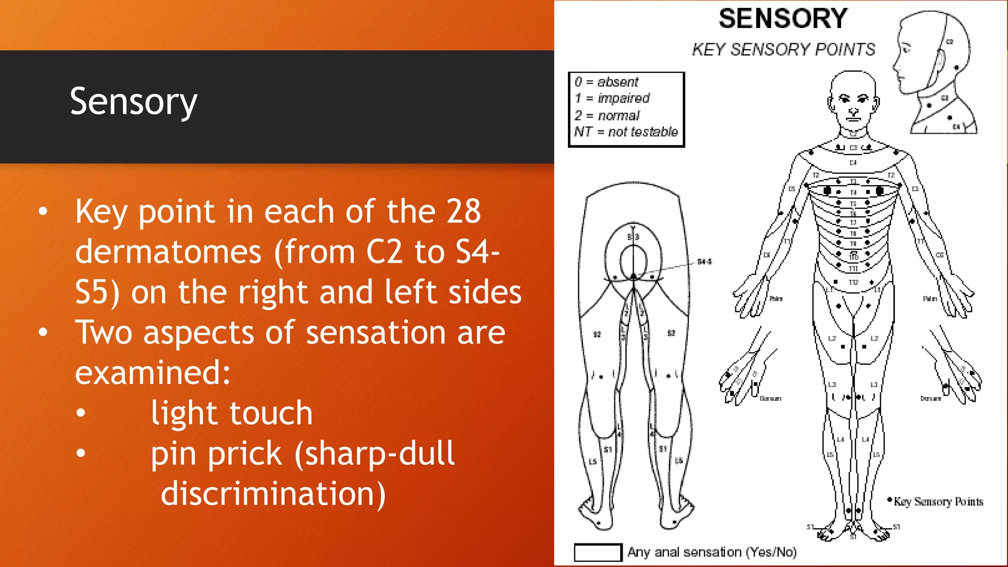Neurological assessment for asia chart | PPTX