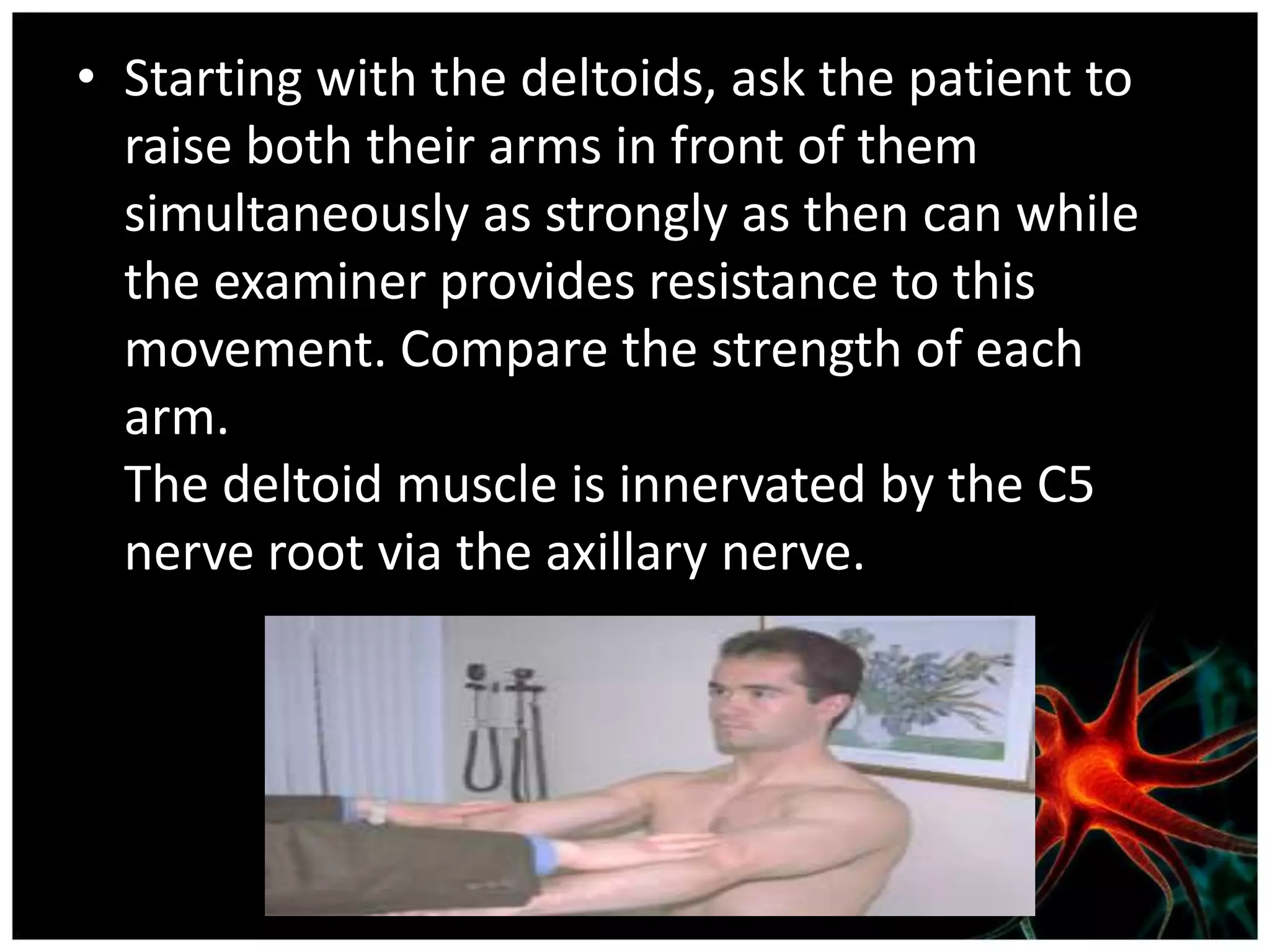 • Starting with the deltoids, ask the patient to
  raise both their arms in front of them
  simultaneously as strongly as then can while
  the examiner provides resistance to this
  movement. Compare the strength of each
  arm.
  The deltoid muscle is innervated by the C5
  nerve root via the axillary nerve.
 