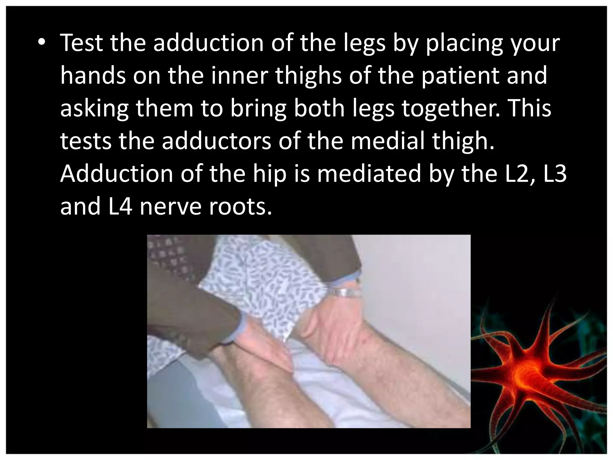 • Test the adduction of the legs by placing your
  hands on the inner thighs of the patient and
  asking them to bring both legs together. This
  tests the adductors of the medial thigh.
  Adduction of the hip is mediated by the L2, L3
  and L4 nerve roots.
 