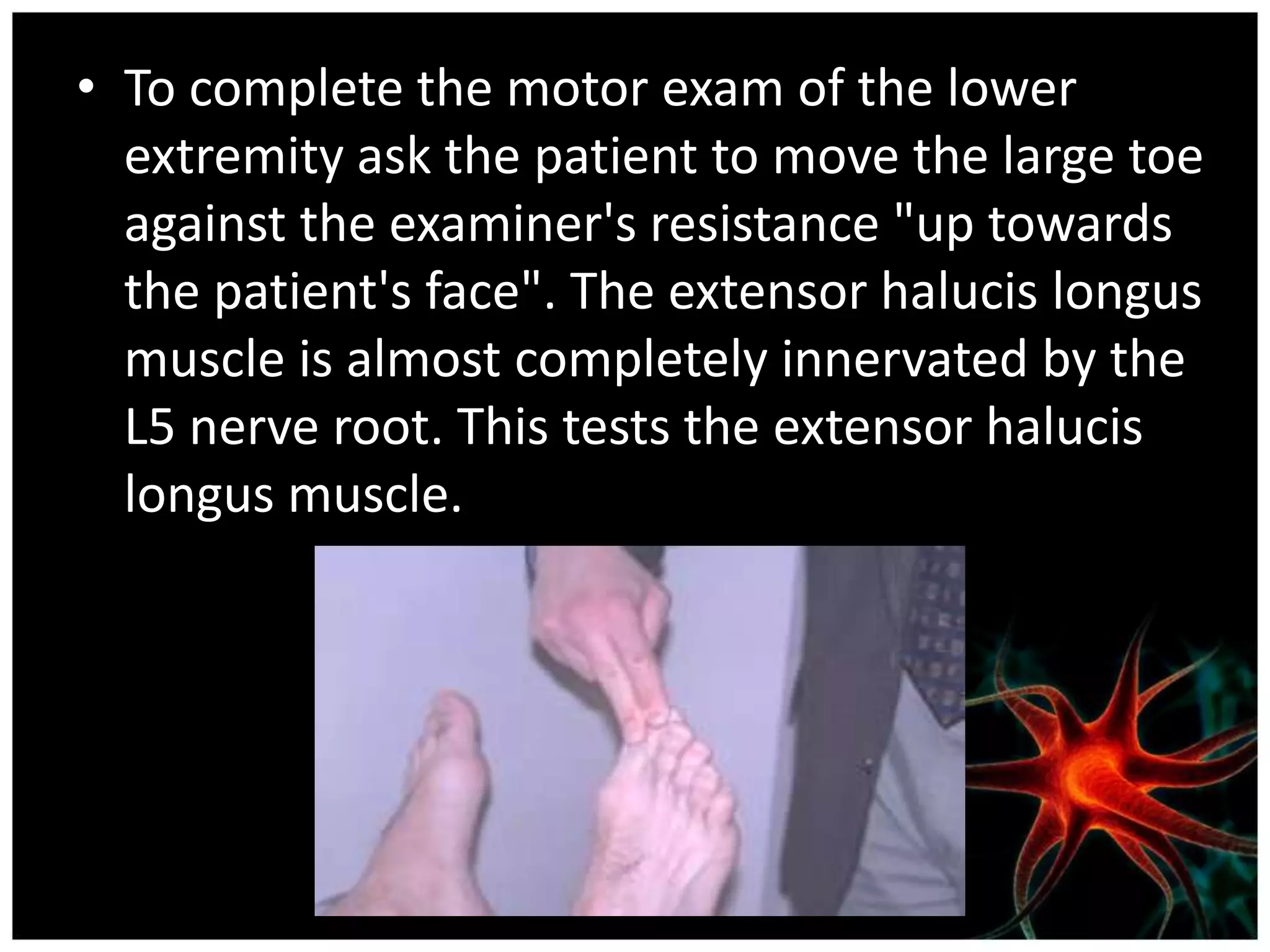 • To complete the motor exam of the lower
  extremity ask the patient to move the large toe
  against the examiner's resistance "up towards
  the patient's face". The extensor halucis longus
  muscle is almost completely innervated by the
  L5 nerve root. This tests the extensor halucis
  longus muscle.
 