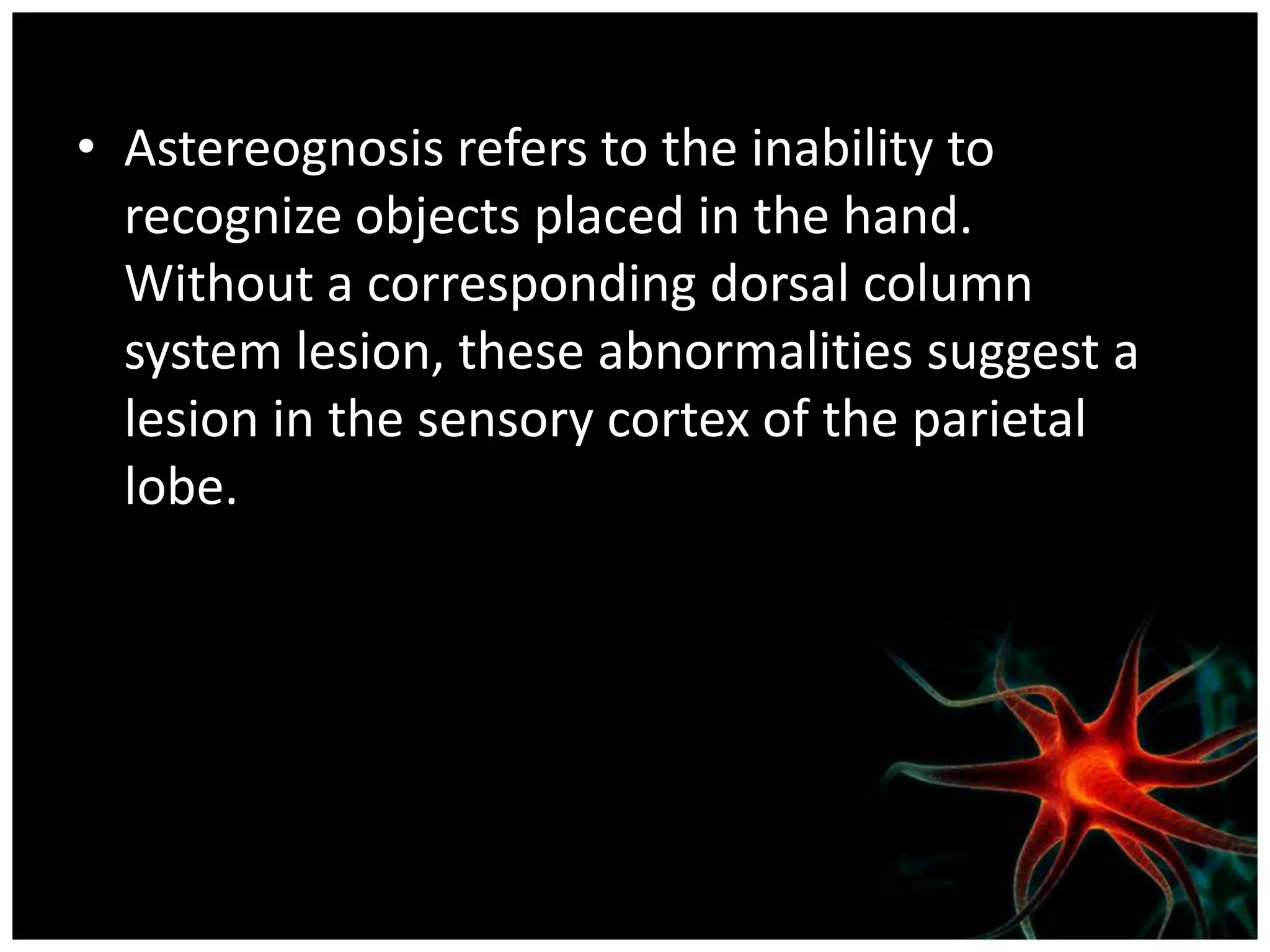 • Astereognosis refers to the inability to
  recognize objects placed in the hand.
  Without a corresponding dorsal column
  system lesion, these abnormalities suggest a
  lesion in the sensory cortex of the parietal
  lobe.
 
