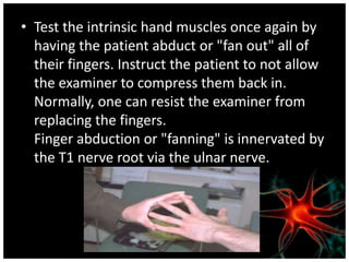 • Test the intrinsic hand muscles once again by
  having the patient abduct or "fan out" all of
  their fingers. Instruct the patient to not allow
  the examiner to compress them back in.
  Normally, one can resist the examiner from
  replacing the fingers.
  Finger abduction or "fanning" is innervated by
  the T1 nerve root via the ulnar nerve.
 